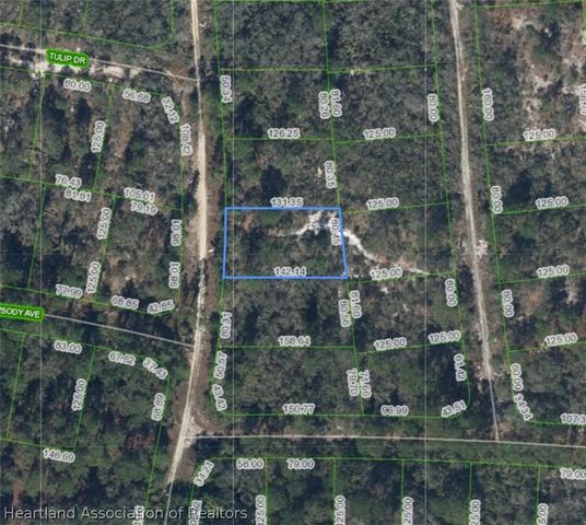 429 Twilight Drive, Lake Placid, FL 33852