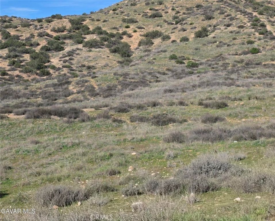 0 Vic Desert Springs Av, Palmdale, CA 93551
