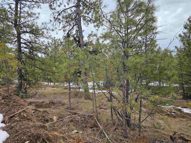 18324 W Burnett Rd, Nine Mile Falls, WA 99026