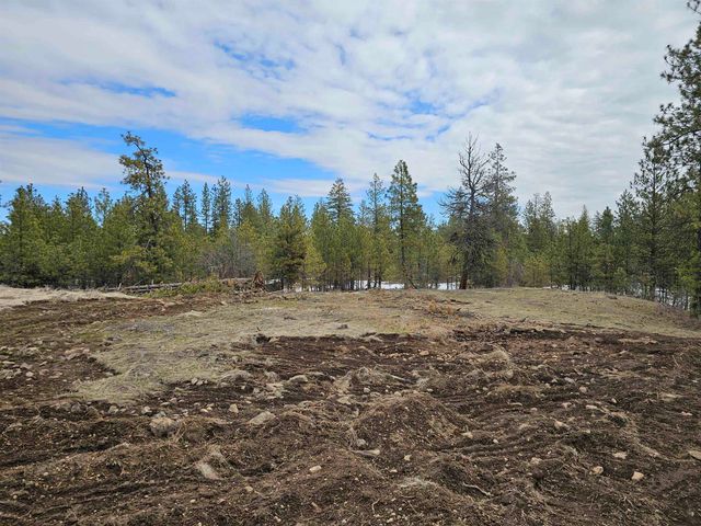 18324 W Burnett Rd, Nine Mile Falls, WA 99026