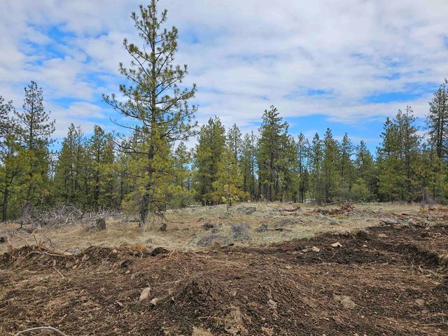 18324 W Burnett Rd, Nine Mile Falls, WA 99026