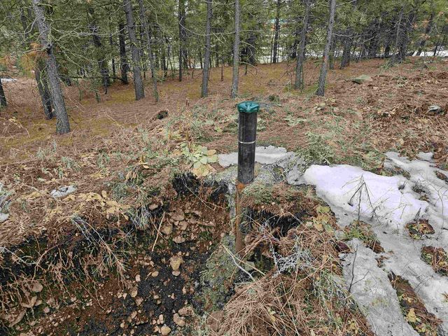 18324 W Burnett Rd, Nine Mile Falls, WA 99026