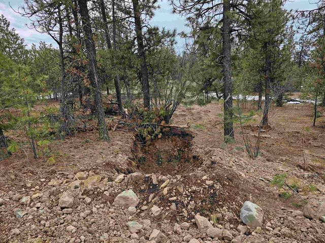 18324 W Burnett Rd, Nine Mile Falls, WA 99026