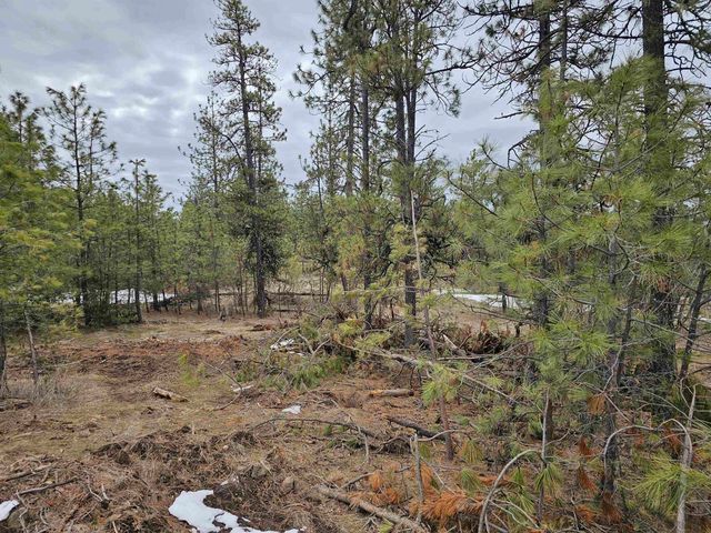 18324 W Burnett Rd, Nine Mile Falls, WA 99026