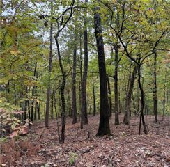 Potter Lane, Bella Vista, AR 72715