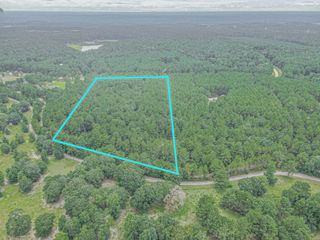 9947 Amelia Drive, Anderson, TX 77830