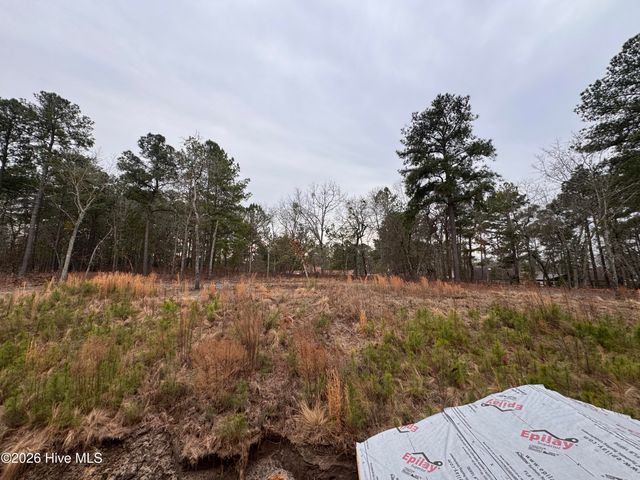 298 Rough Ridge Trail 29, Aberdeen, NC 28315