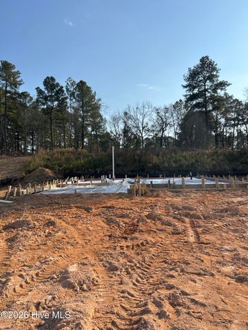 298 Rough Ridge Trail 29, Aberdeen, NC 28315