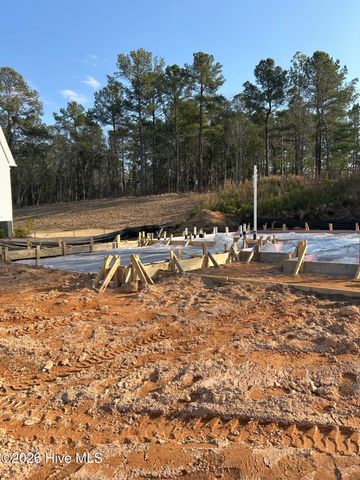 298 Rough Ridge Trail 29, Aberdeen, NC 28315