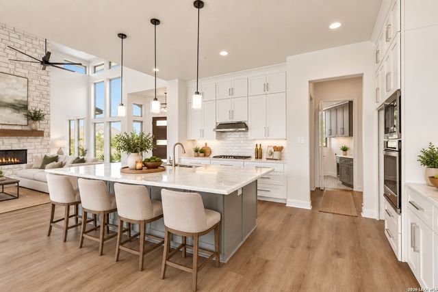 359 MUSE DR, Spring Branch, TX 78070
