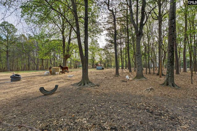 1313 Qualls Rd, Ridgeway, SC 29130