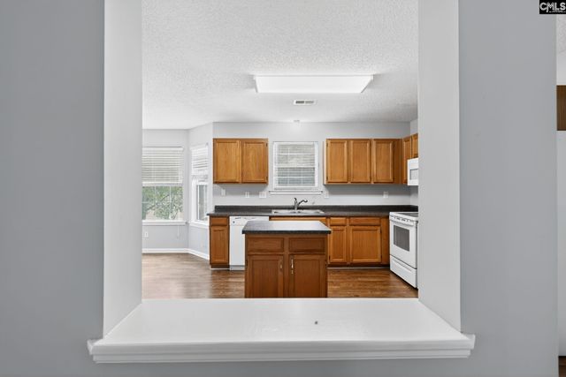 101 S Brassfield Court, Irmo, SC 29063