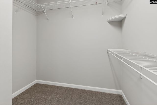 101 S Brassfield Court, Irmo, SC 29063