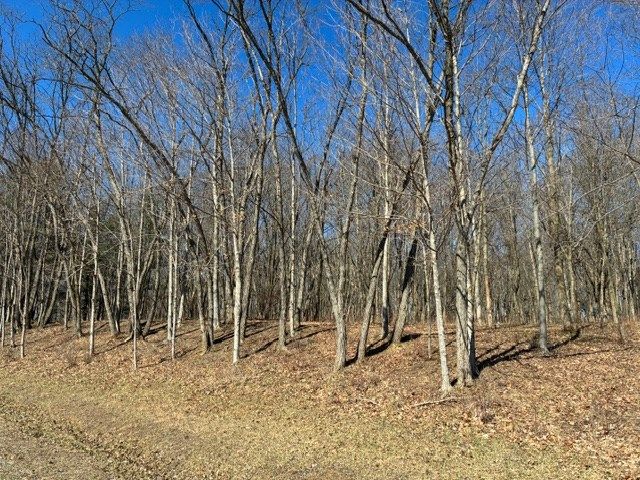 7326 State Route 19, Unit 7, Lots 186-189, Mount Gilead, OH 43338