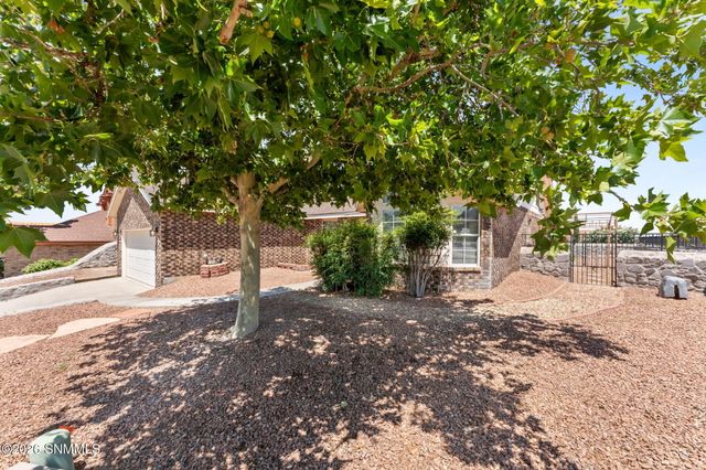 919 Stagecoach Drive, Las Cruces, NM 88011