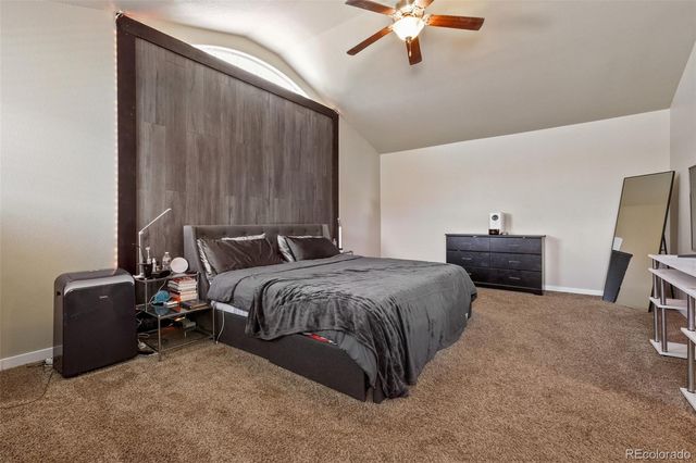 7437 Bigtooth Maple Drive, Colorado Springs, CO 80925