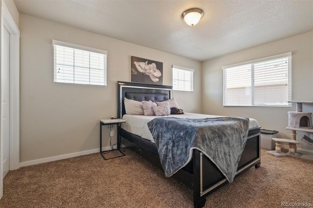 7437 Bigtooth Maple Drive, Colorado Springs, CO 80925