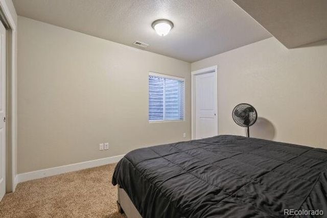 7437 Bigtooth Maple Drive, Colorado Springs, CO 80925