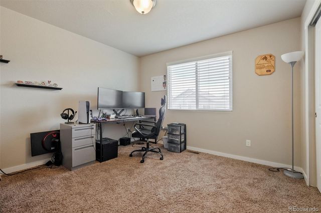 7437 Bigtooth Maple Drive, Colorado Springs, CO 80925