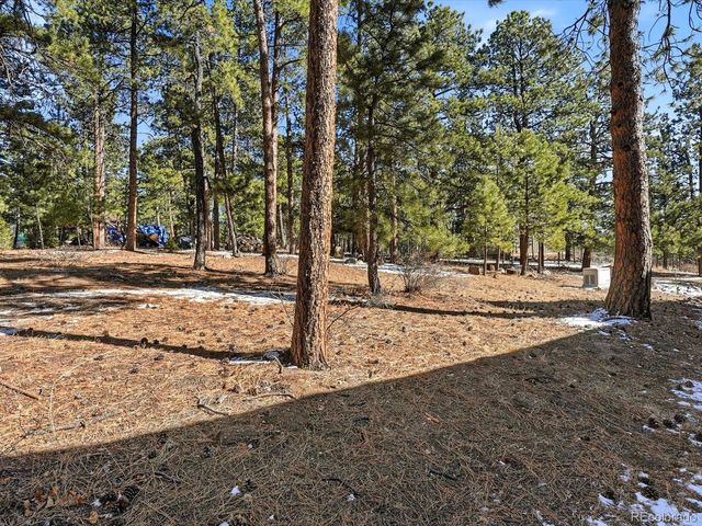 8220 Iowa Gulch Rd, Morrison, CO 80465