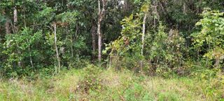 RIDGEWOOD AVENUE, De Leon Springs, FL 32130