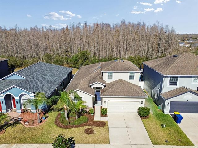 3833 TUCKERTON DRIVE, Land O Lakes, FL 34638