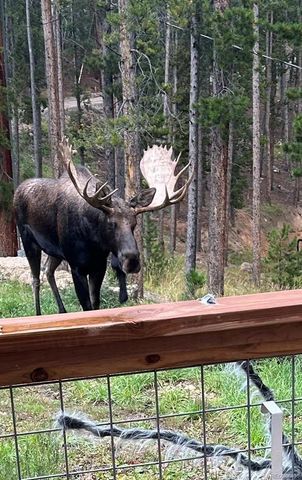 65 Apache Road, Evergreen, CO 80439