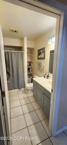 3843 S Muskrat Street, Big Lake, AK 99652