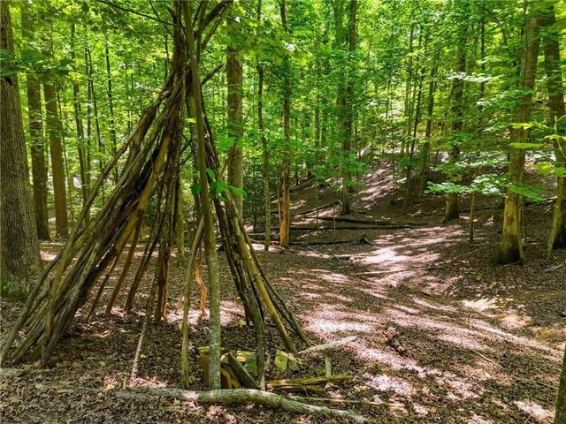 156 13th Street, Ellijay, GA 30540