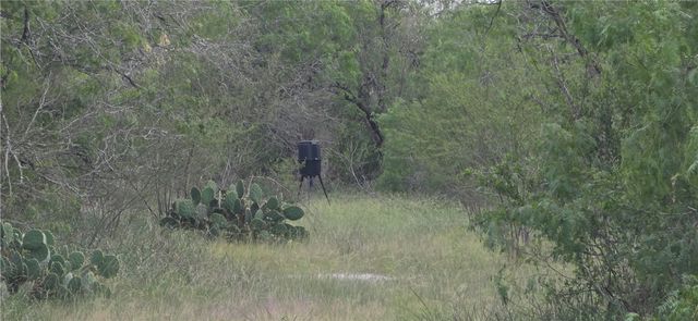 14135 County Road 1144, Sinton, TX 78387