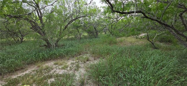 14135 County Road 1144, Sinton, TX 78387