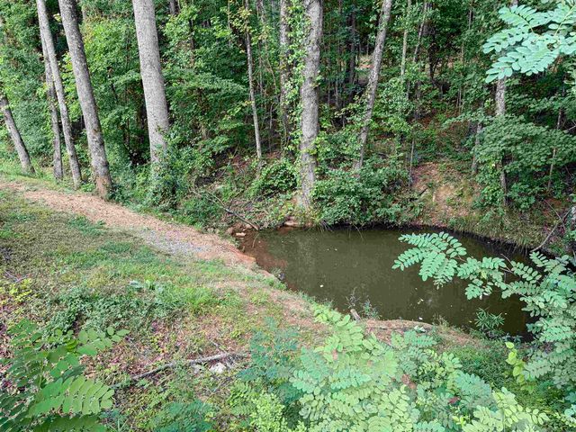 115 Fowler Road, Campobello, SC 29322