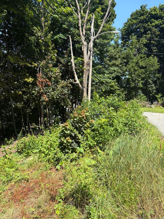 0 Bristol Street, Biddeford, ME 04005 — photo 2