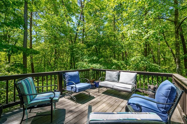 284 The Woods Road, Mineral Bluff, GA 30559