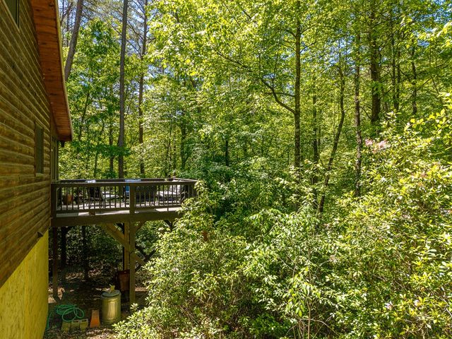 284 The Woods Road, Mineral Bluff, GA 30559