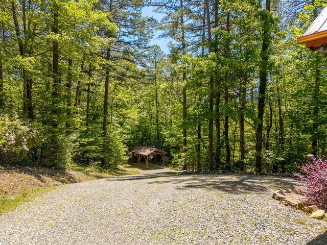 284 The Woods Road, Mineral Bluff, GA 30559