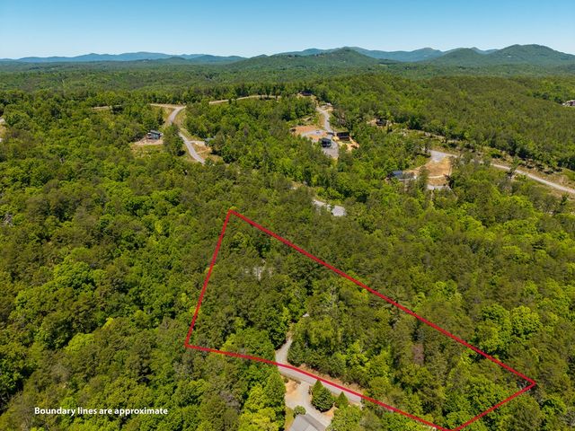 284 The Woods Road, Mineral Bluff, GA 30559