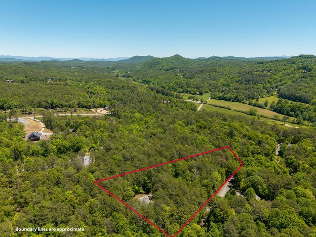 284 The Woods Road, Mineral Bluff, GA 30559