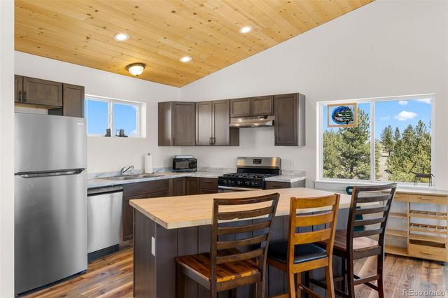 431 Rudisill Street, Fairplay, CO 80440