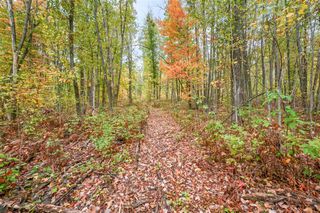 13540 8 Mile Rd, Evart, MI 49631