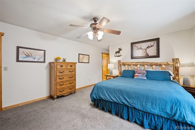 585 Miners Way, Fairplay, CO 80440