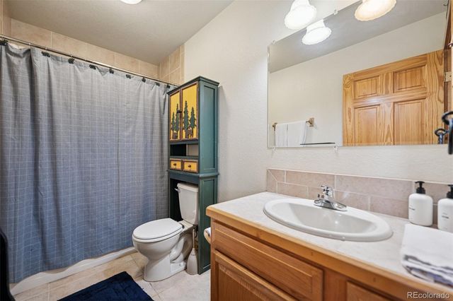 585 Miners Way, Fairplay, CO 80440