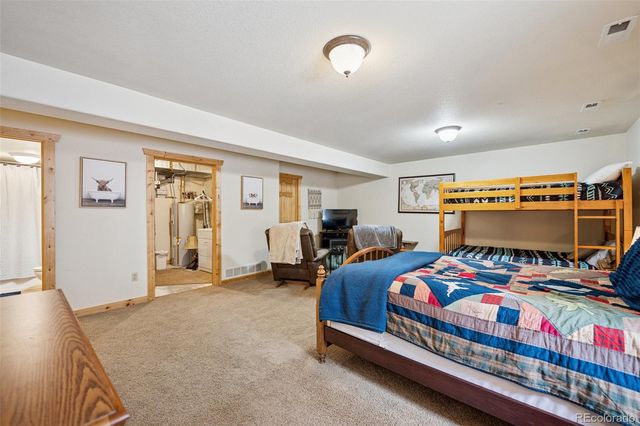 585 Miners Way, Fairplay, CO 80440