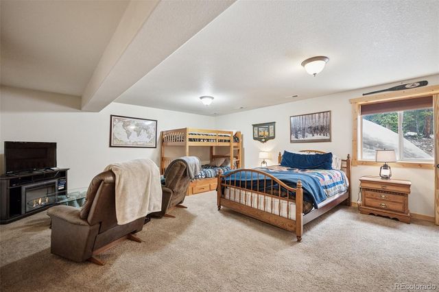 585 Miners Way, Fairplay, CO 80440