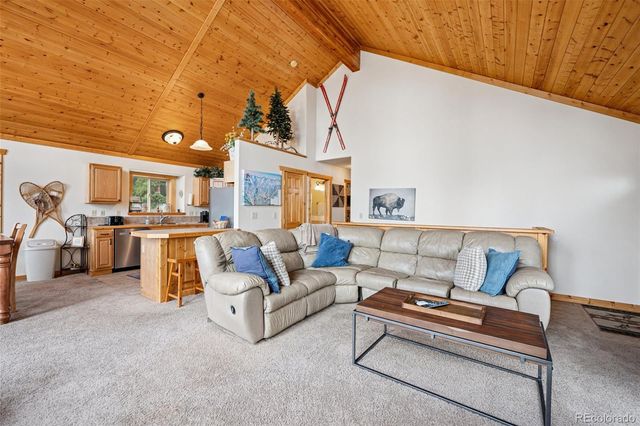 585 Miners Way, Fairplay, CO 80440