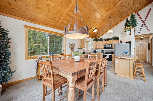 585 Miners Way, Fairplay, CO 80440