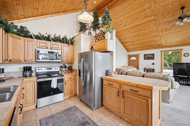 585 Miners Way, Fairplay, CO 80440