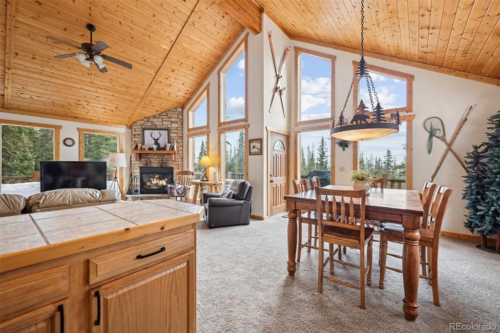 585 Miners Way, Fairplay, CO 80440