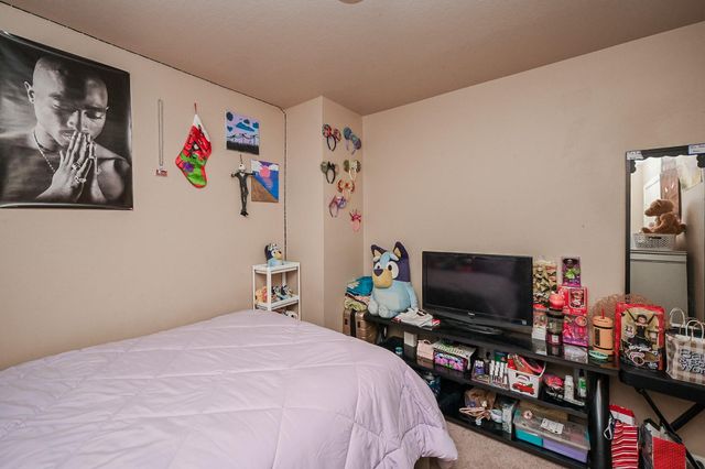 19533 Richland Springs Drive, Houston, TX 77073