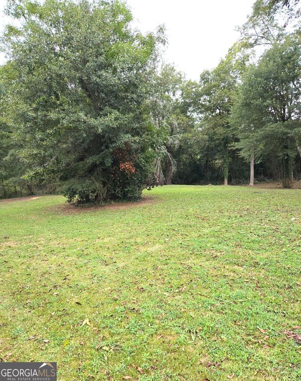 319 Powell Drive, Jackson, GA 30233 — photo 4